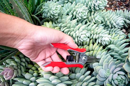 Corona Tools FS43623 Yard Essentials Mini Floral Snips, Red - size: Floral Snips