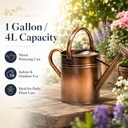1 Gallon Metal Watering Can for Indoor Outdoor Plants, Retro Coppery - color: Retro Coppery