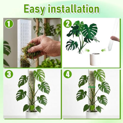 6 Pcs 24 Inch Plastic Moss Pole for Plants Monstera, D Shaped Moss Pole, Plant Poles for Climbing Plants, Plant Support for Indoor Plant Work with Sphagnum