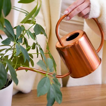 Plexon Rose Gold Metal Watering Can Indoor Plants, 54 oz Stainless Steel Long Spout Watering Can Outdoor House Plant Flower, Garden - color: Rose Gold, 54 Oz