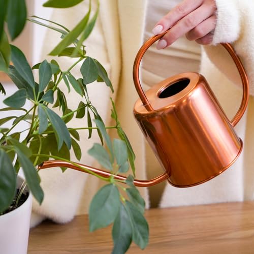 Plexon Rose Gold Metal Watering Can Indoor Plants, 54 oz Stainless Steel Long Spout Watering Can Outdoor House Plant Flower, Garden - color: Rose Gold, 54 Oz