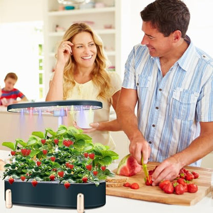 Indoor Garden Hydroponics Growing System12 Pods Plant Germination Kit Aeroponic Herb Vegetable Growth Lamp Countertop with LED Grow Light Hydrophonic Planter Grower Automatic Water Circulation (Green) - color: Green