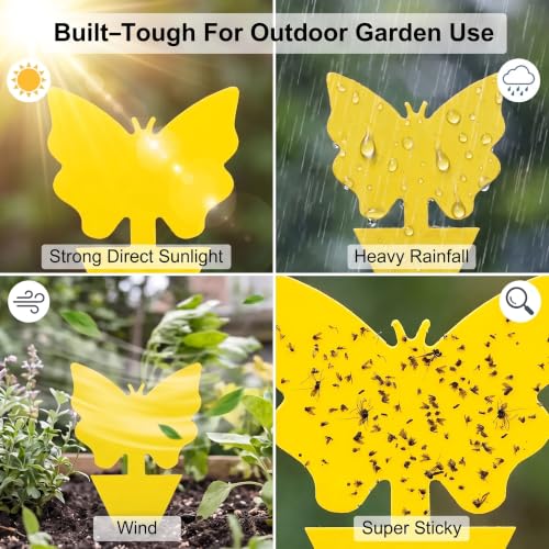 120 Pack Yellow Sticky Fungus Gnat Traps for Indoor & Outdoor Plants - size: 120 Packs