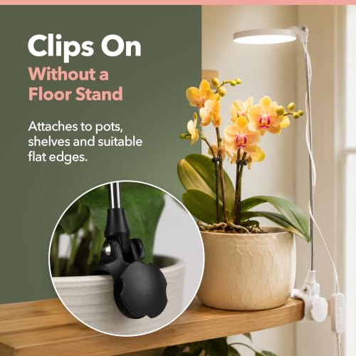 Mossify Clip-On LED Grow Light, Full Spectrum, Black - color: Black