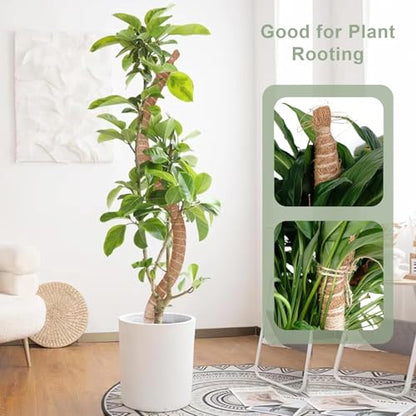 2 Pack 60 Inch Moss Pole, Bendable Moss Pole for Plants Monstera, Tall Moss Poles for Climbing Plants Indoor, Large Support, Garden Trellis Stick Stakes for Plant