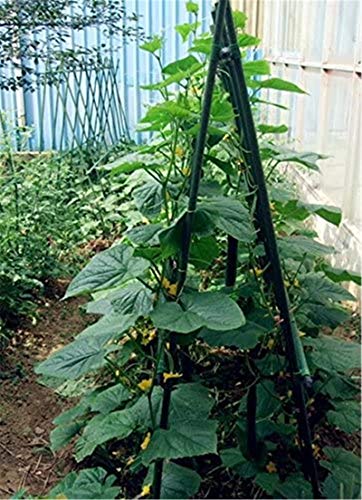 25 Pack 48 Inch Garden Stakes & Tomato Stakes for Climbing Plants - size: 48 Inches