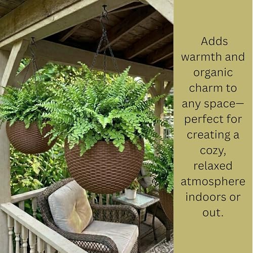 LaLaGreen Hanging Planters (11in, 2 Pack) Self-Watering Hanging Flower Pots - color: Brown X 2