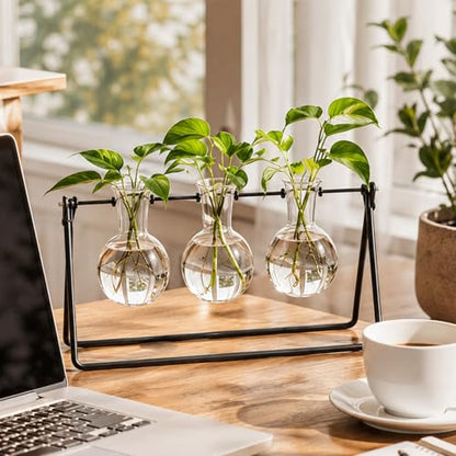 Plant Propagation Stations, Plant Terrarium with Minimalist Metal Stand