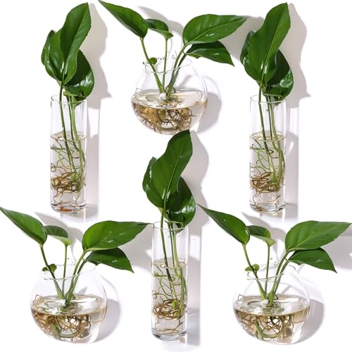 Baderke 6 Pcs Glass Wall Hanging Vase with Suction Cup Plastic Invisible