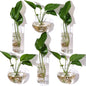 Baderke 6 Pcs Glass Wall Hanging Vase with Suction Cup Plastic Invisible