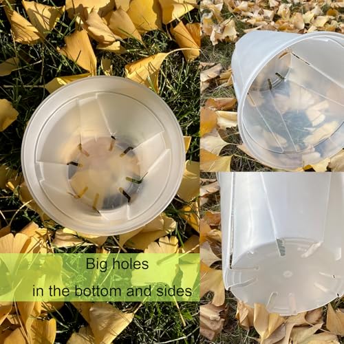 Clear Nursery pots with Drainage 5/6/7/8/9 inch 10 Pack - size: 5/6/7/8/9inch with saucers