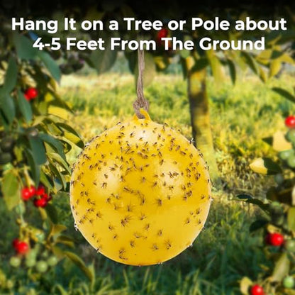 4 Pcs Large Fly Trap Balls Hanging Fly Catcher,Gnat Insect Bug - style: Gnat Insect Bug