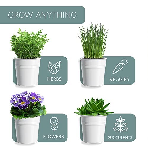 Barnyard Designs Indoor Herb Garden Planter Pots with Tray Set/3 (White) - color: White
