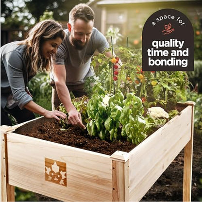 Cedar Raised Garden Bed with Legs, Outdoor Planter Box 48x24x30, 200lb