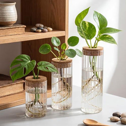 6 Sets Glass Plant Propagation Vases Cork Lid, 3 Size Desktop