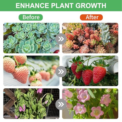 Solar Grow Light Outdoor Indoor Run Day/Night, Full Spectrum with Timer