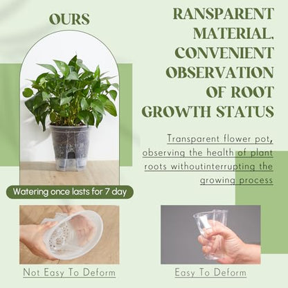 Wonderjune Self Watering Planter, 5.91'', Clear, 9 Pcs - color: Clear, size: 5.91''