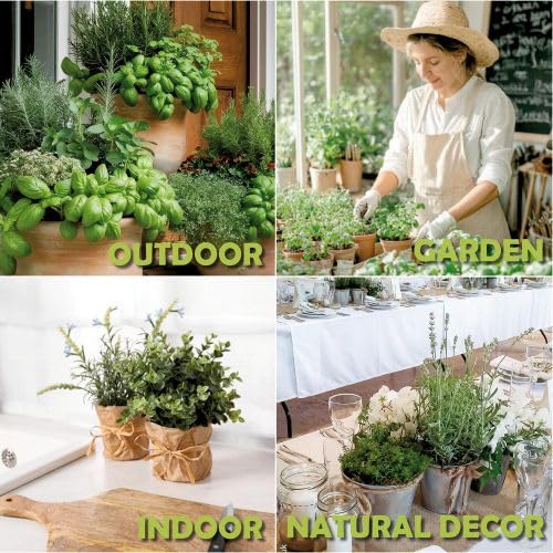 10 Herb Window Garden Kit Indoor, Complete Growing Kit with Pots & Soil