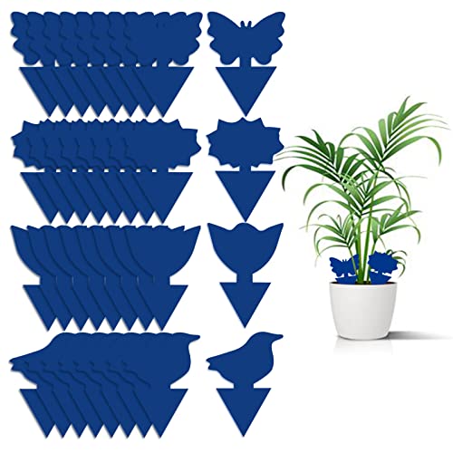 36 Pack Fungus Gnat Traps for House Plants, Blue Sticky Traps for Indoor Outdoor Use to Get Rid of Whitefly Mosquitoes Fungus Gnats Thrips Leafminer Flying Insects Protect Your Plants