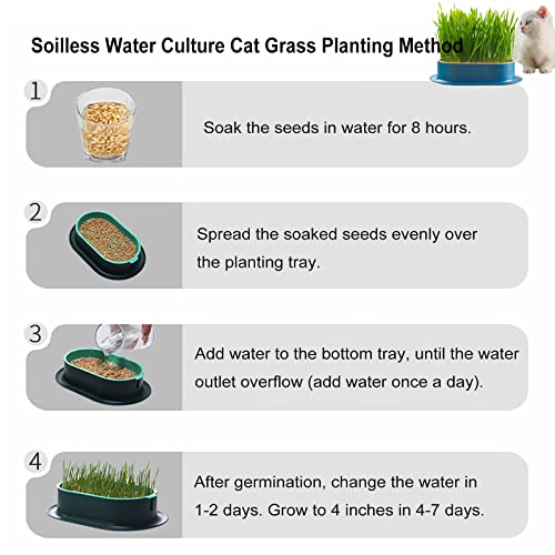 2Pcs Cat Grass Planter for Indoor Hydroponic Wheatgrass Seed Sprout Tray Organic Cat Grass Growing Kit (No Seeds Included) Soilless Pot Planting Box (G) - color: G