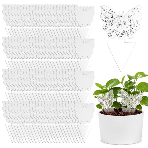 100 Pack Gnat Traps, Double Sided Plant Sticky Traps for Indoor Bug, Clear - color: Clear