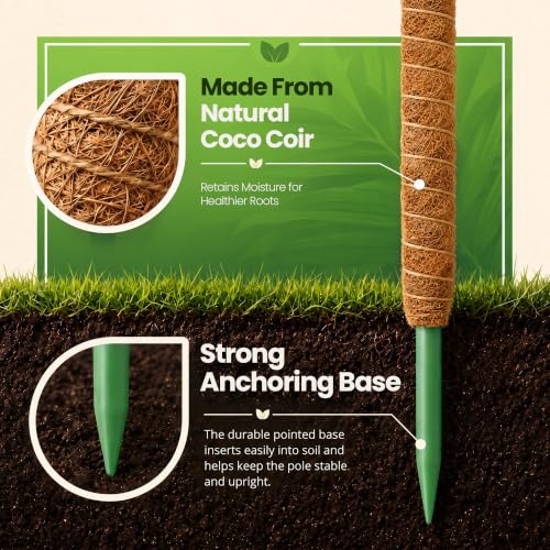 2 Pack 63'' Moss Pole Monstera Plant Support for Climbing Indoor Plants - size: 2-Pack (63 in)