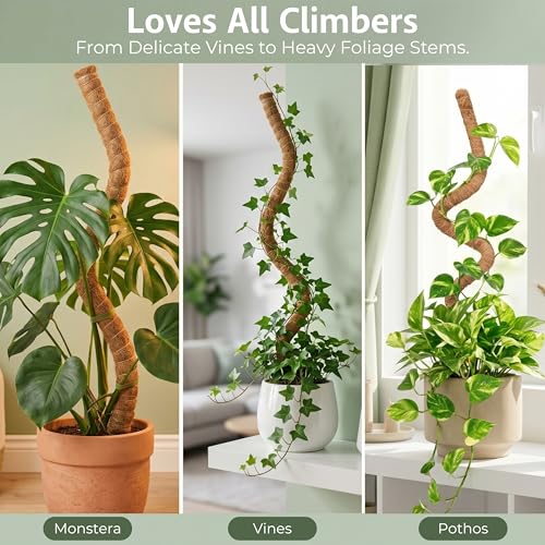 30 Inches Bendable 2 Pack Moss Pole Monstera Plant Support Stakes - Moss Poles for Climbing Plants, Plant Stakes for Indoor Plants - Coco Coir Pole Moss Stick for Monstera, Pothos. - size: 2 x 30 In (Bendable)