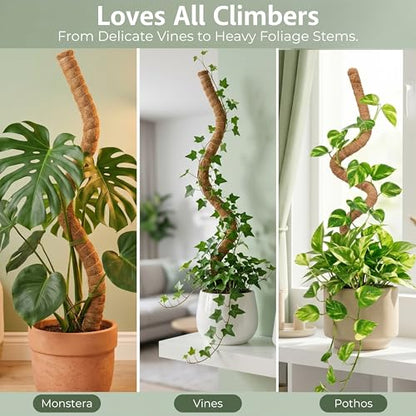 30 Inches Bendable 2 Pack Moss Pole Monstera Plant Support Stakes - Moss Poles for Climbing Plants, Plant Stakes for Indoor Plants - Coco Coir Pole Moss Stick for Monstera, Pothos. - size: 2 x 30 In (Bendable)