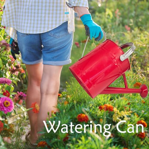 Metal Watering Can 1 Gallon for Indoor and Outdoor Plants Red - color: 1 Gallon Red