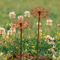 Hicarer 2 Pcs Rusty Metal Flower Garden Stakes Wildflower Yard Decor