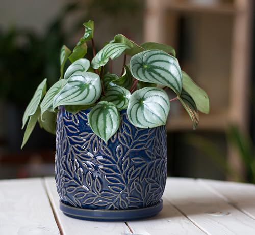 D'vine Dev Embossed Leaves Ceramic Planter, 5 in, Midnight Blue, 27-A-V-3 - color: Midnight Blue, size: 5 Inch