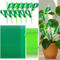 100 Pcs Gnat Sticky Traps for Plants, Sticky Traps for Gnats with 20 Stakes to Control, Aphids, Plant Bug, Mosquito Bits and Whiteflies(Green) - color: Green