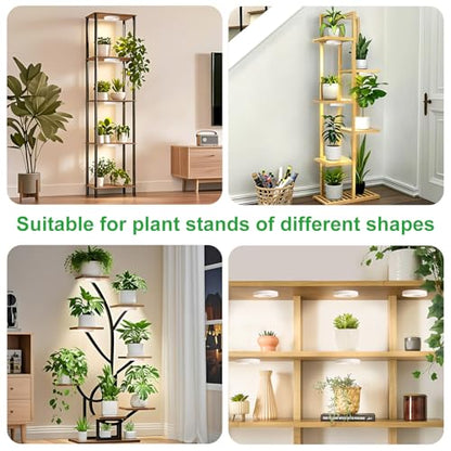 Ceiling LED Plant Growth Lights for Indoor Plants, Warm+White Full Spectrum 3.54" Grow Lamps for Plant Growth with 6/12/16H Timer, 3 Spectral Modes, 10 Dimmable Levels, Halo Angel Ring White (2 Head) - size: 3.54in 2 Head