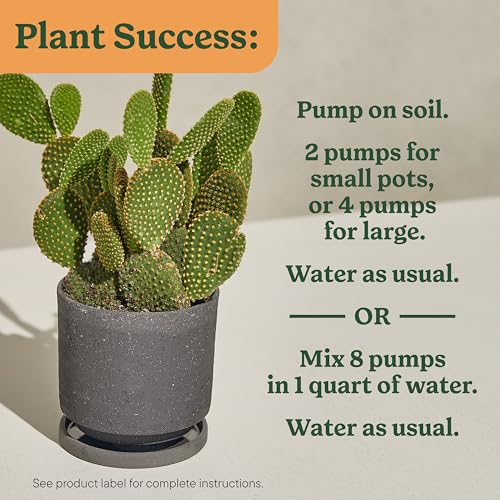 Miracle-Gro Indoor Plant Food for Cactus & Succulent, 8 fl. oz. (2-Pack) - style: Cactus & Succulent