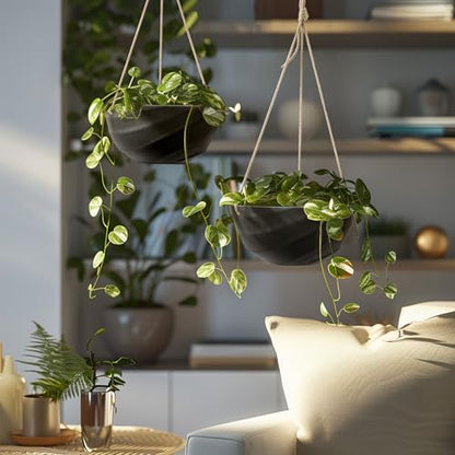 La Jolie Maison Self-Watering Indoor Hanging Planters, Set of 2,10 Inch - color: Jet Black