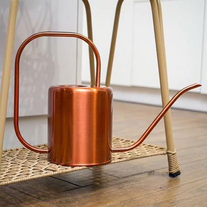 Plexon Rose Gold Metal Watering Can Indoor Plants, 54 oz Stainless Steel Long Spout Watering Can Outdoor House Plant Flower, Garden - color: Rose Gold, 54 Oz