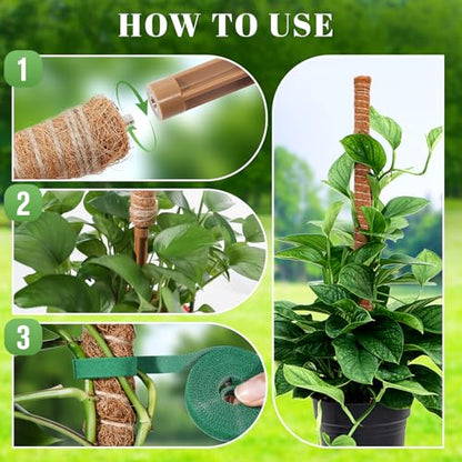 54 Inch Moss Pole, for Climbing Plants Indoor