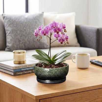 Bonsai Tree Pots, 8 Inch Ceramic Succulent Planter, Speckle Green - color: Speckle Green, size: 8 Inch