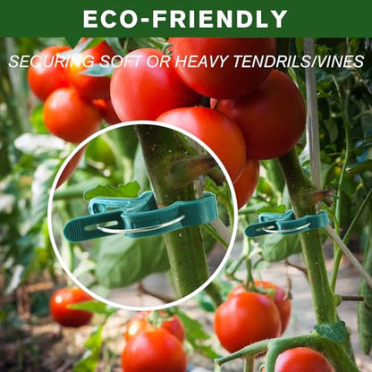 Plant Clips for Climbing Plants, Garden Support for Tomatoes & Vine - size: 120 Small