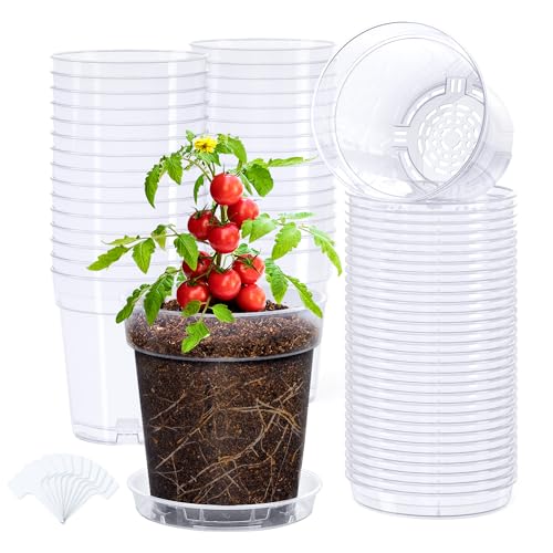 homenote 5 Inch Clear Nursery Pots 30 Pack with Drainage Holes and Saucers - size: 5 INCH