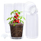 homenote 5 Inch Clear Nursery Pots 30 Pack with Drainage Holes and Saucers - size: 5 INCH