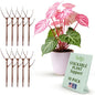 Twigs GA Stackable Plant Support Stakes, Begonia Red, 10-Pack, 17" L - color: Begonia Red, size: Stackable (10 Pack)