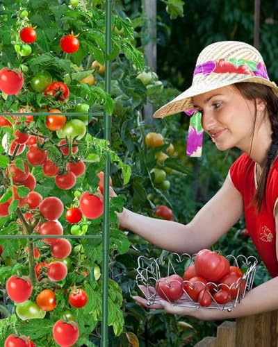 MYMULIKE 6 Pack Tomato Cages for Garden, 51in*13in Adjustable Tomatoes Plant Stakes Support Cages Trellis, Garden Trellis for Vegetable Flowers Fruits Climbing Plants- 20 Binding Wires Included - size: 6pack-51in*13in