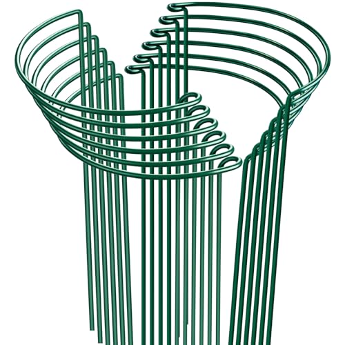HiGift 12 Pack 10" W x 24" H Plant Stakes for Indoor Plants, Metal Garden Peony Support Cages, Outdoor Plant Supports Ring Prop, Large Plant Stake for Hydrangea,Rose,Flower,Vine,Potted Plants - color: Green - 12 Pack, size: 10" W x 24" H