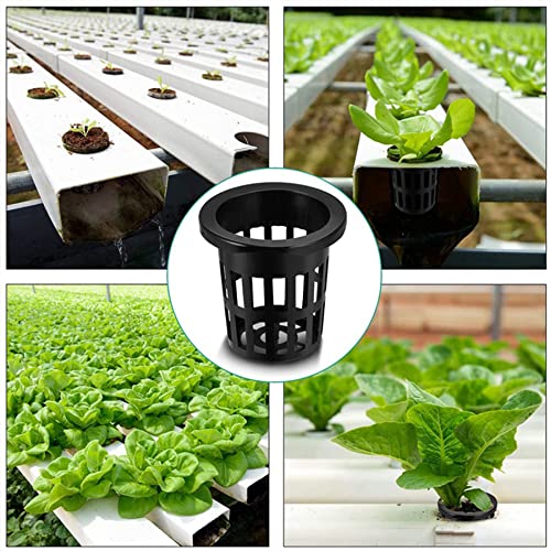 50PCS 1.75" Mesh Net Cup Pots Basket Hydroponics System Supplies Aquaponics Seed Growing Media Black - color: Black