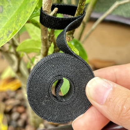 3rolls 2m Reusable Cable Ties Self Adhesive Loop Bundle Fastener Management Nylon Plant Vines Tie Garden Supplies,1cm Width (Black1) - color: Black1
