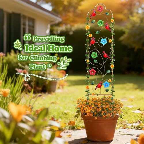 2 Pack Metal Garden Trellis Arched Fence Trellises for Climbing Plants Outdoor, Roses, Vines, Flowers, and Vegetables Support, 60'' H x 12'' W Redbird - color: Redbird