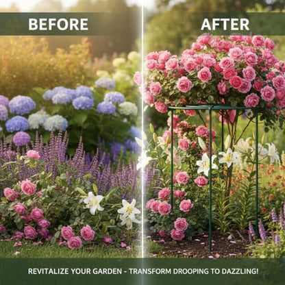 DAYUMKOU 8 Pack Peony Cages and Supports, 11.5" D x 12" H - size: 8pc 11.5"x12"