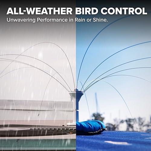 Bird B Gone Bird Spider 360, 6ft, Bird Deterrent for Boats, Docks & Roofs - size: 6 Foot