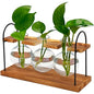 Plant Terrarium with Wooden Stand, Birthday Gift for Women Mom Plant Lover